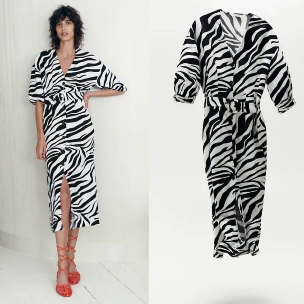 ZARA | Animal Print Long Dress